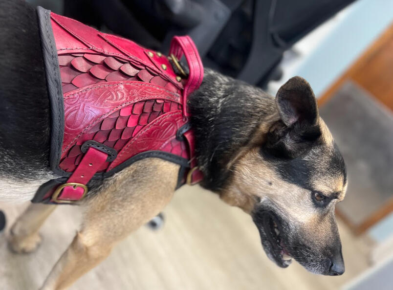 Olaf Armor in Oxblood